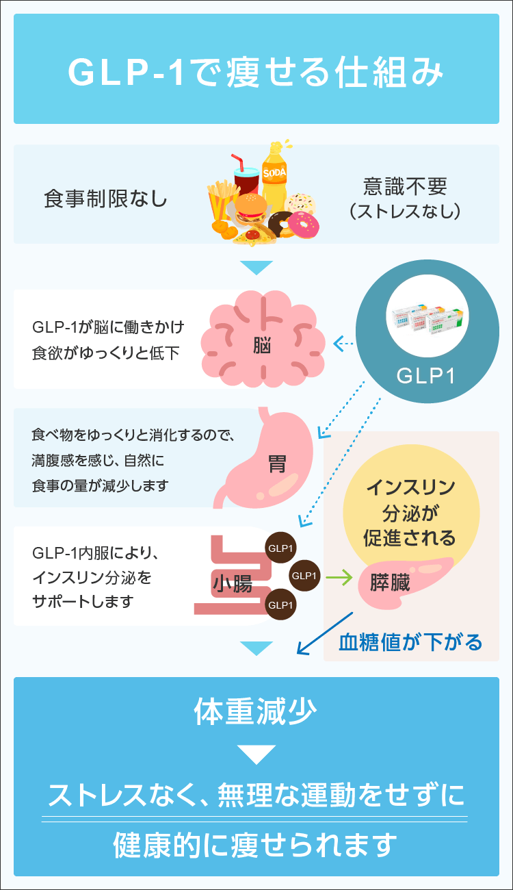 GLP-1とは